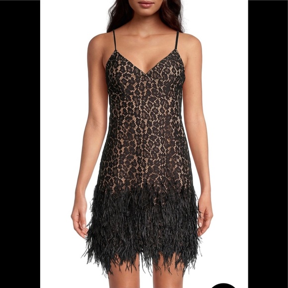 Michael Kors Dresses & Skirts - “HOST PICK” Michael Kors Feather Embellished Corded Lace Dress